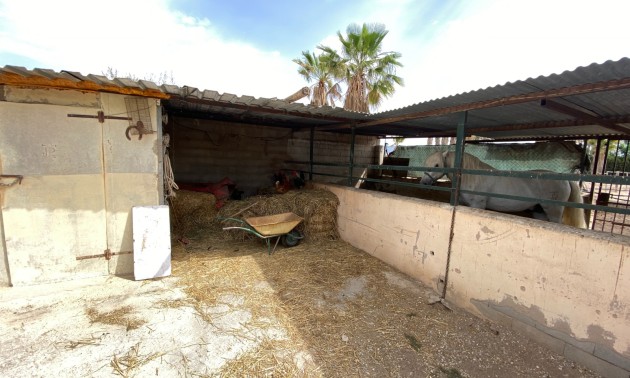 Revente - Villa - Monforte del Cid