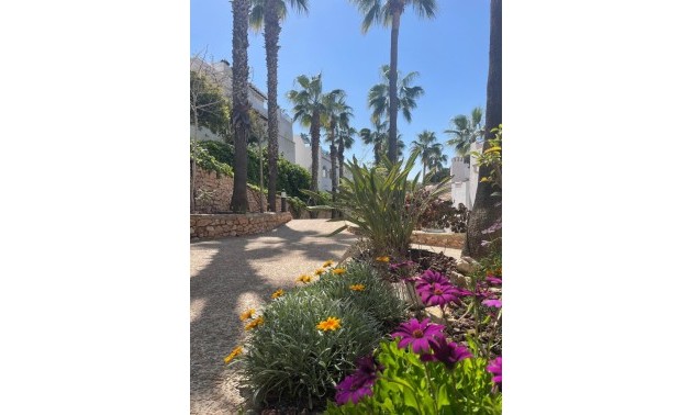 Resale - Villa - Orihuela Costa - Los Dolses