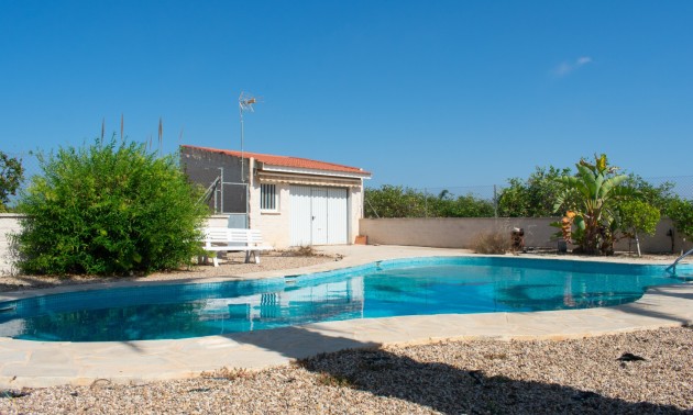 Herverkoop - Villa - Guardamar del Segura - El Raso
