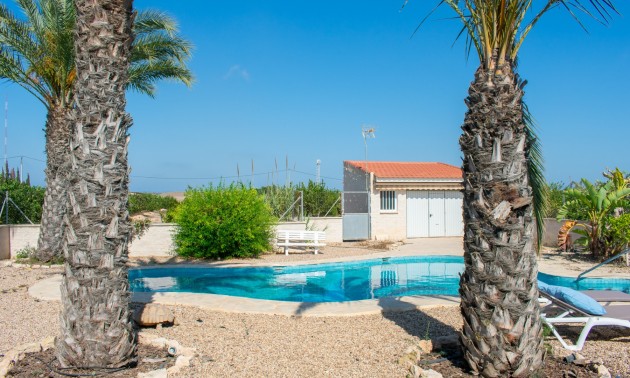 Herverkoop - Villa - Guardamar del Segura - El Raso