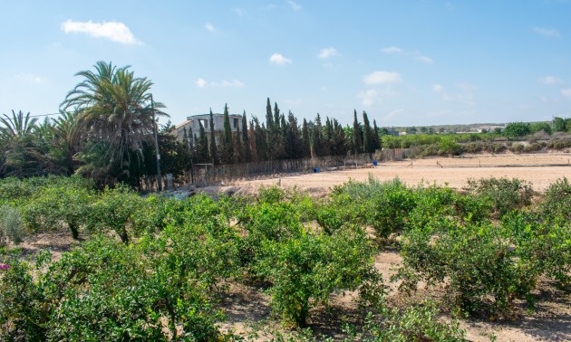 Herverkoop - Villa - Guardamar del Segura - El Raso