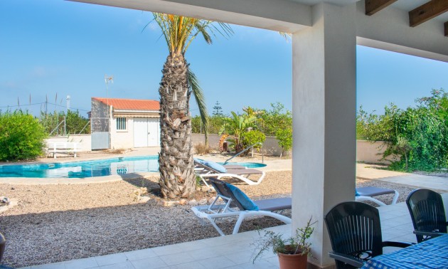 Herverkoop - Villa - Guardamar del Segura - El Raso