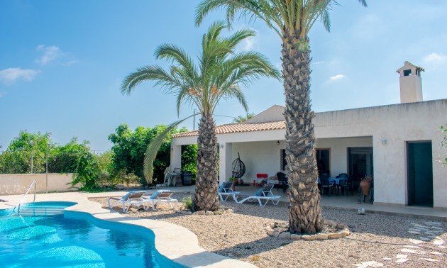 Herverkoop - Villa - Guardamar del Segura - El Raso