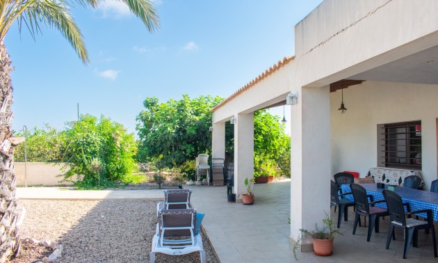 Herverkoop - Villa - Guardamar del Segura - El Raso