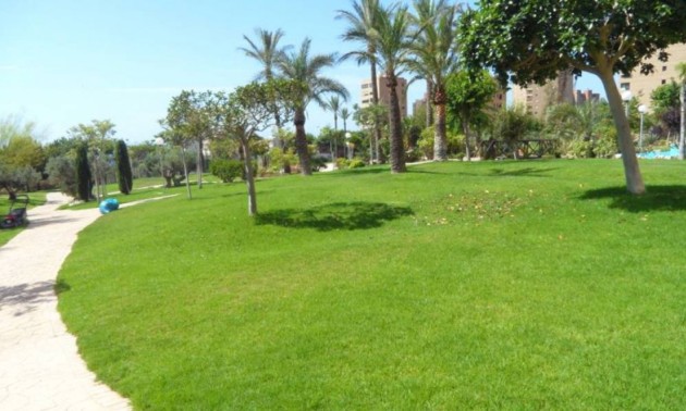 Herverkoop - Apartment - Benidorm - Poniente