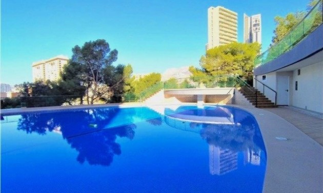 Herverkoop - Apartment - Benidorm - Poniente