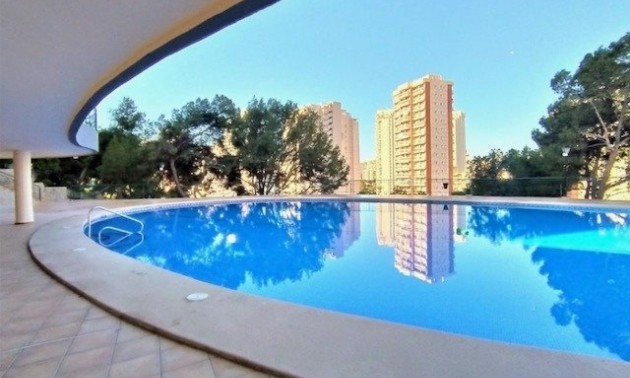 Herverkoop - Apartment - Benidorm - Poniente