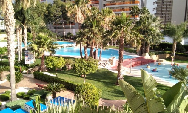 Herverkoop - Apartment - Benidorm - Rincón de Loix