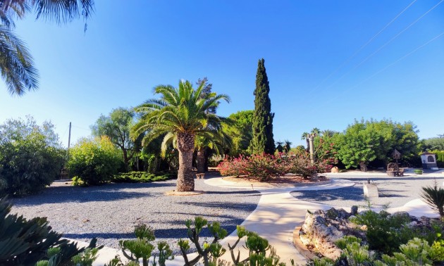 Resale - Country House - San Miguel de Salinas