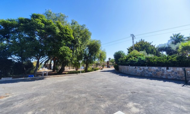 Resale - Country House - San Miguel de Salinas
