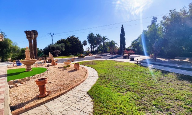 Resale - Country House - San Miguel de Salinas