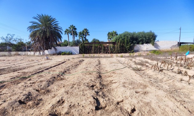 Resale - Country House - San Miguel de Salinas
