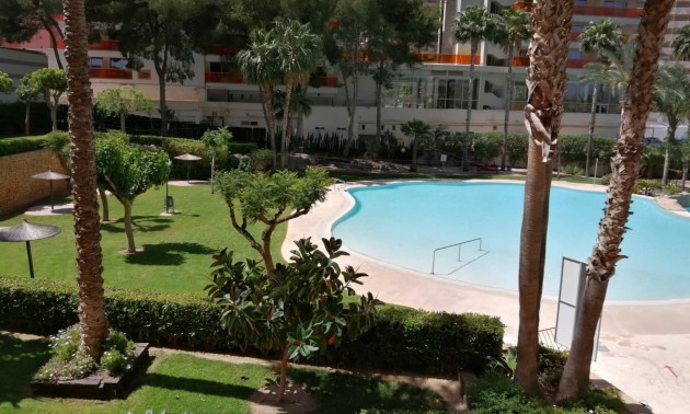 Herverkoop - Apartment - Benidorm - Rincón de Loix
