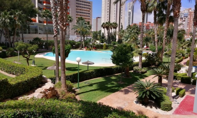 Herverkoop - Apartment - Benidorm - Rincón de Loix