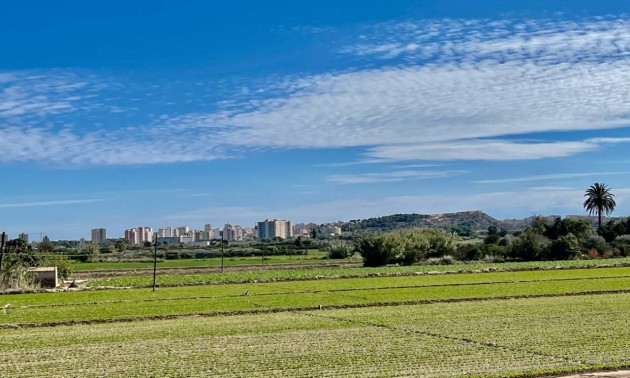 Resale - Villa - Guardamar del Segura