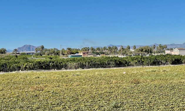 Resale - Villa - Guardamar del Segura