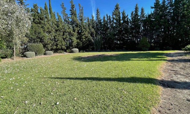 Resale - Country House - Daya Vieja