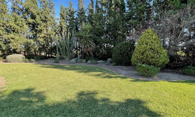 Resale - Country House - Daya Vieja