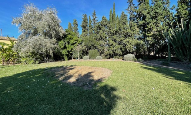Resale - Country House - Daya Vieja