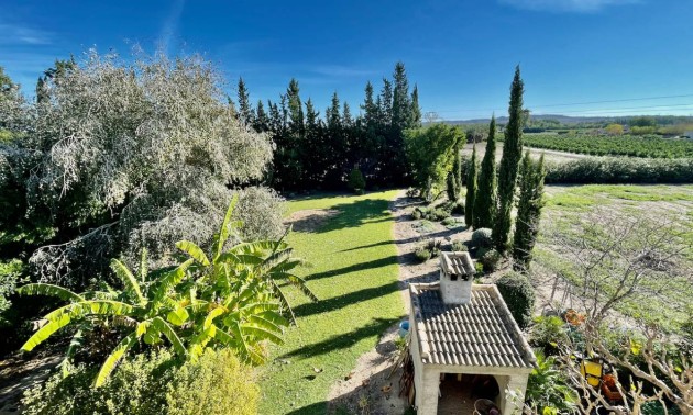 Resale - Country House - Daya Vieja