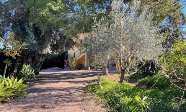 Resale - Country House - Daya Vieja