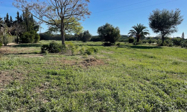 Resale - Country House - Daya Vieja