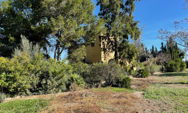 Resale - Country House - Daya Vieja