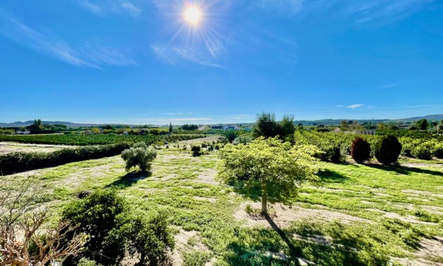 Resale - Country House - Daya Vieja