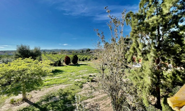 Resale - Country House - Daya Vieja