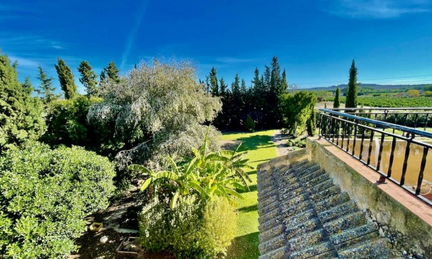 Resale - Country House - Daya Vieja