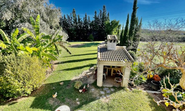 Resale - Country House - Daya Vieja