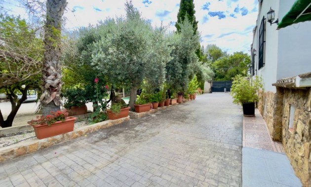 Herverkoop - Country House - Orihuela