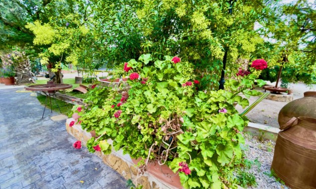 Herverkoop - Country House - Orihuela