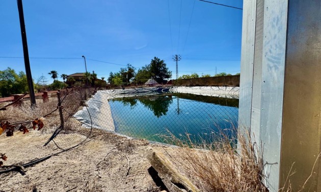 Revente - Country House - Los Montesinos