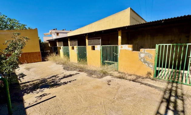 Revente - Country House - Los Montesinos