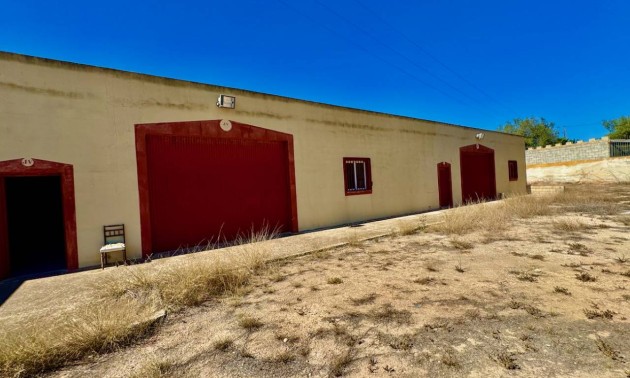 Revente - Country House - Los Montesinos