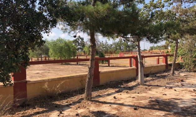 Revente - Country House - Los Montesinos