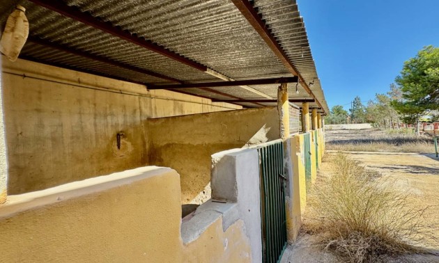 Revente - Country House - Los Montesinos