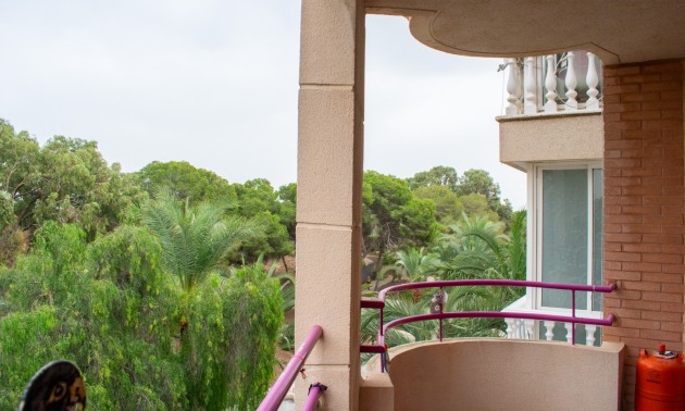 Herverkoop - Apartment - Guardamar del Segura - Center