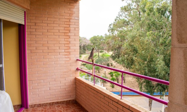 Herverkoop - Apartment - Guardamar del Segura - Center