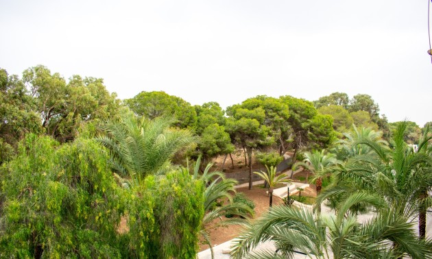 Herverkoop - Apartment - Guardamar del Segura - Center