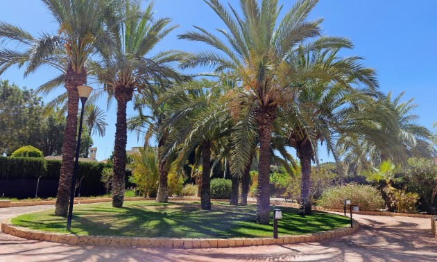 Resale - Villa - Elche