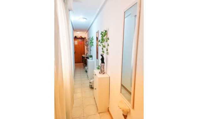 Herverkoop - Apartment - Torrevieja - Playa del Cura