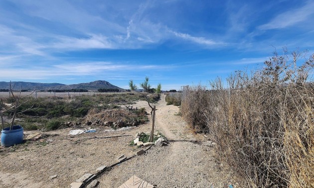 Resale - Country House - Villena