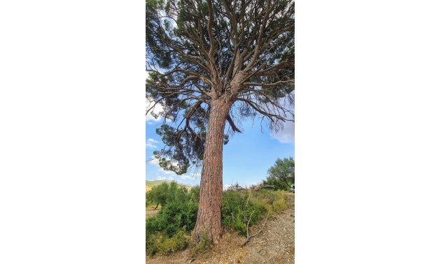 Herverkoop - Villa - Alcoy - Muro de Alcoy