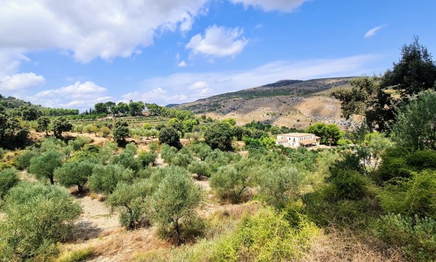 Herverkoop - Villa - Alcoy - Muro de Alcoy