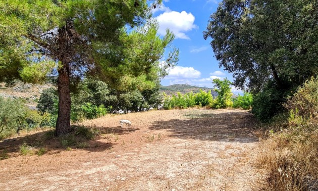 Herverkoop - Villa - Alcoy - Muro de Alcoy