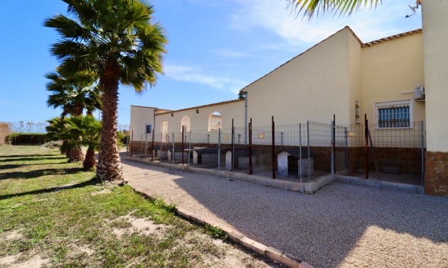 Revente - Country House - Catral