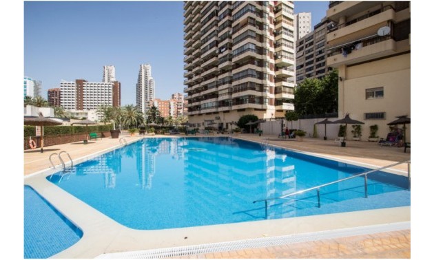 Herverkoop - Apartment - Benidorm - Rincón de Loix