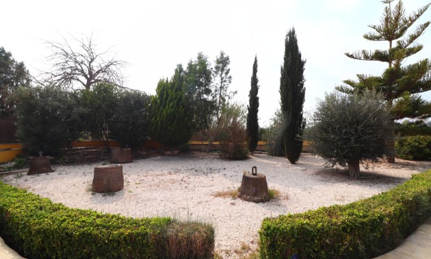 Resale - Country House - Daya Vieja